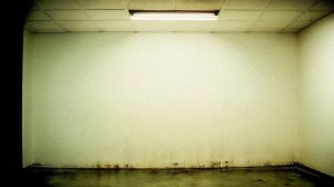 Pompe de relevage : les 5 critères pour bien choisir et installer